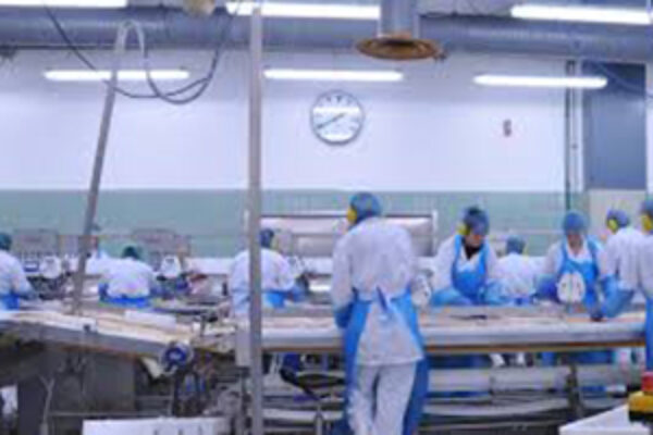Level 2 Food Safety – Manufacturing Online course